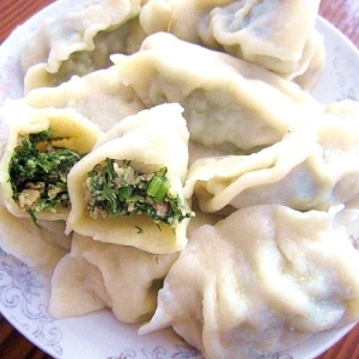 ウイキョウと豚肉の餃子(猪肉茴香餃子)